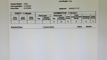 Germination test Kingbale Oats